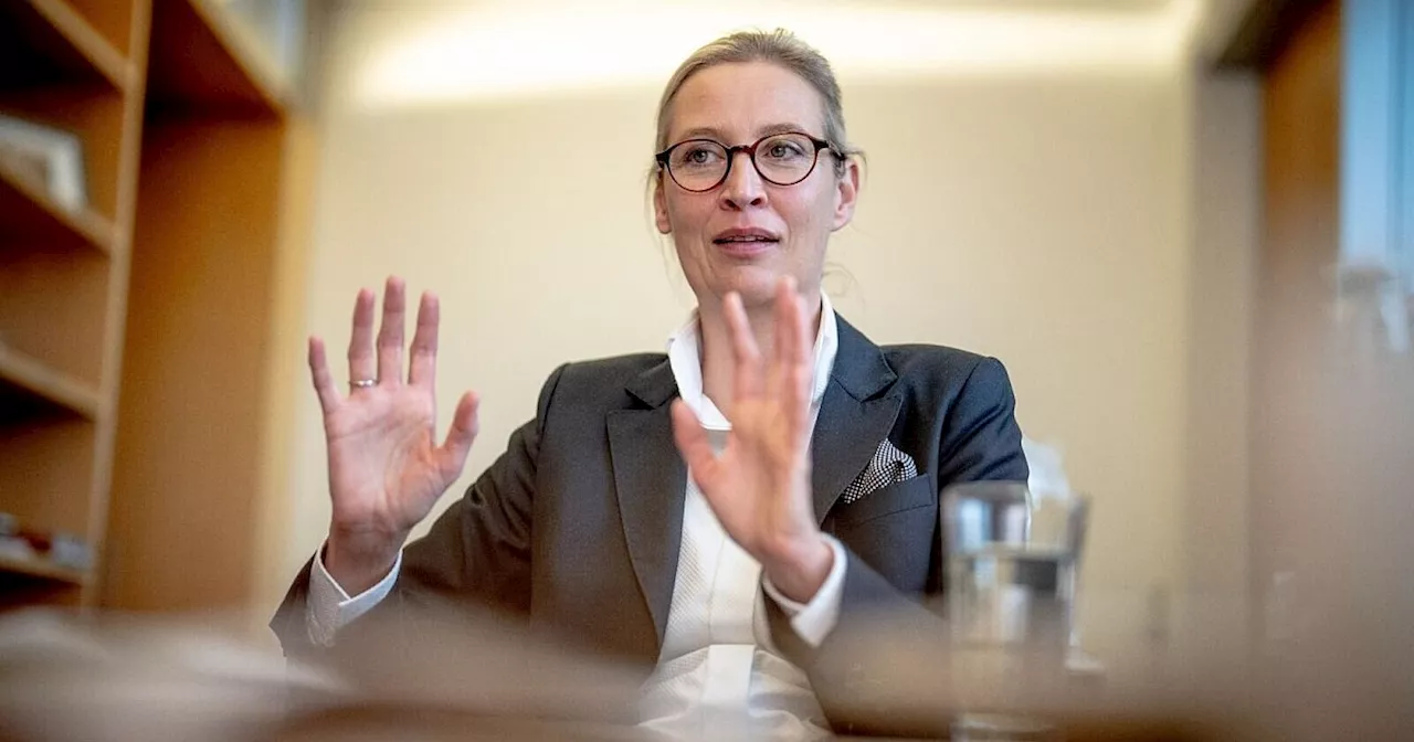 Weidel bestreitet Nähe der AfD zu Putin