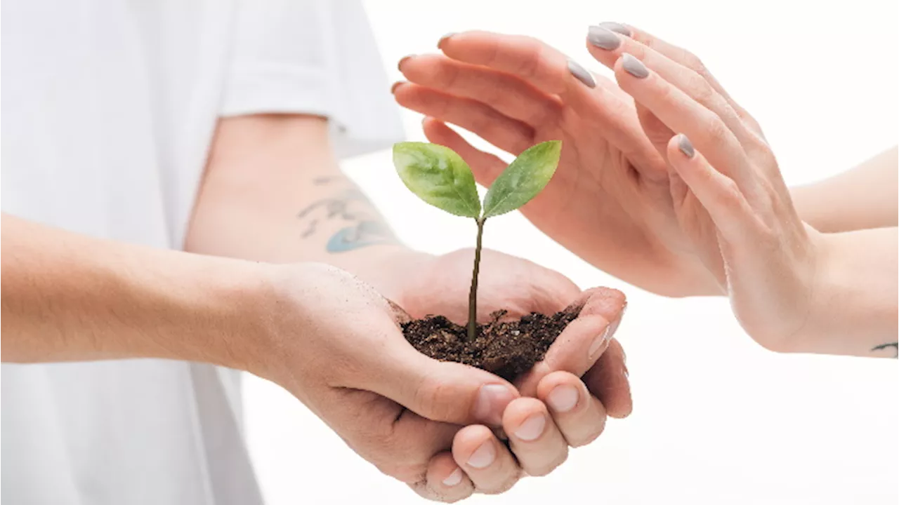 Fai un regalo alla natura: il decalogo per una cultura sostenibile