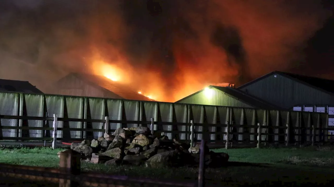 112-nieuws: grote brand bij varkensboerderij • inbraak bij voetbalclub