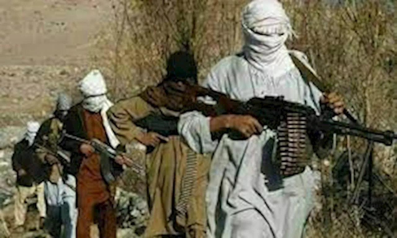 TTP Operates Freely In Afghanistan : Video Shows TTP Coordinating With TTP Terrorists To Attack Pakistan