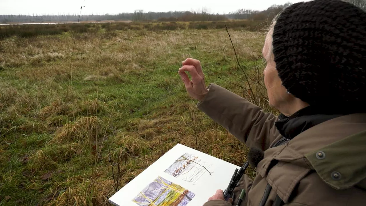 Het oergevoel bij de bron van de Drentsche Aa op het doek