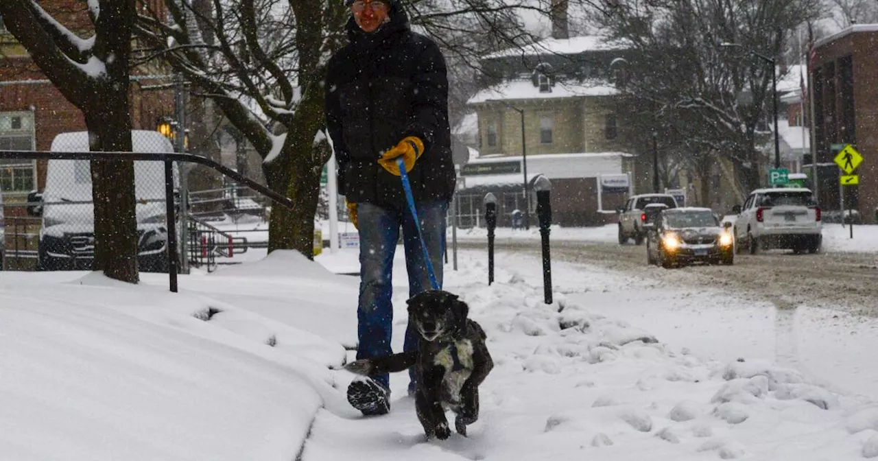 Hardy souls across New England shoveling out after major snow storm