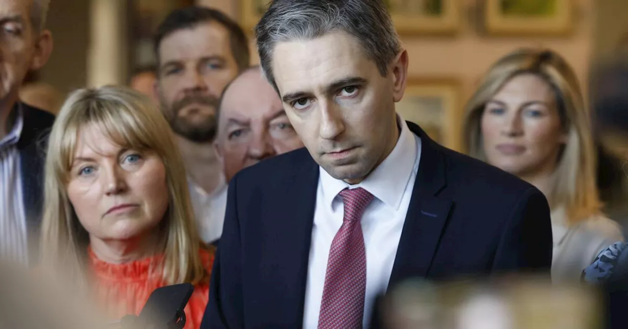 Ireland to get its youngest ever premier as Simon Harris elected leader of Fine Gael party