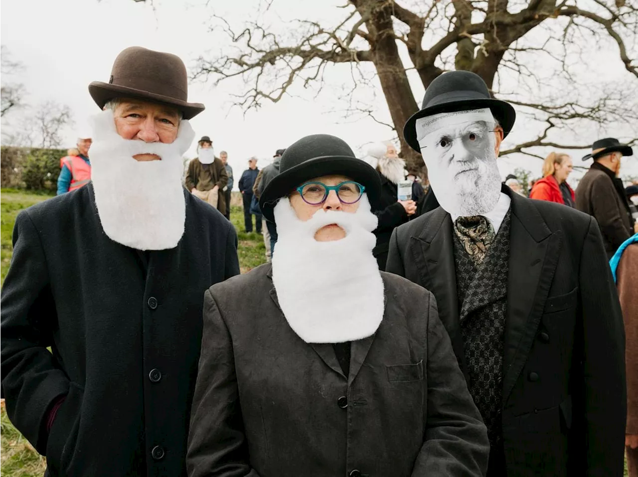 101 Charles Darwin lookalikes gather at threatened 550-year-old oak tree in record attempt protest