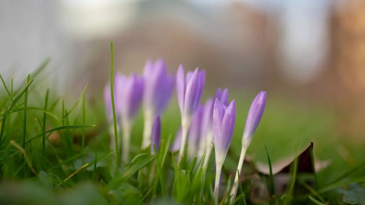 Wetter: Nach Regenschauern: Neue Woche in NRW etwas freundlicher