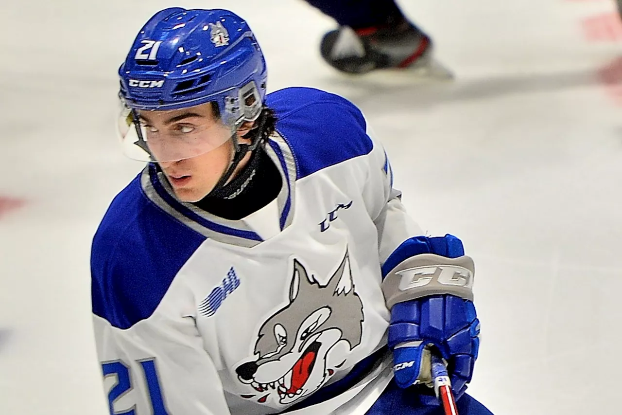 Wolves continue hot scoring touch in rout over IceDogs