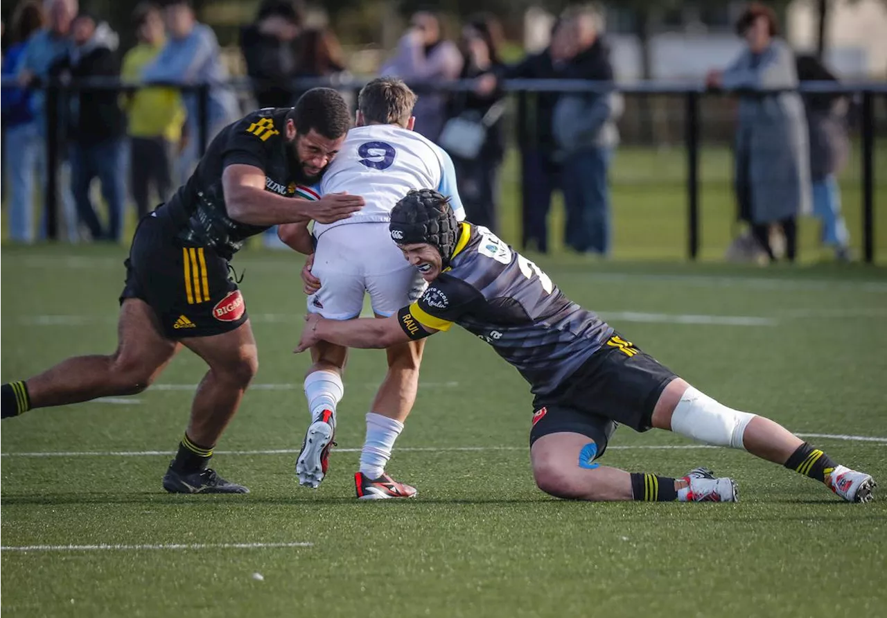 Rugby (Espoirs) : un bonus pas si simple pour le Stade Rochelais face à l’Aviron Bayonnais