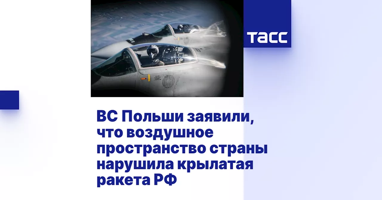 ВС Польши заявили, что воздушное пространство страны нарушила крылатая ракета РФ