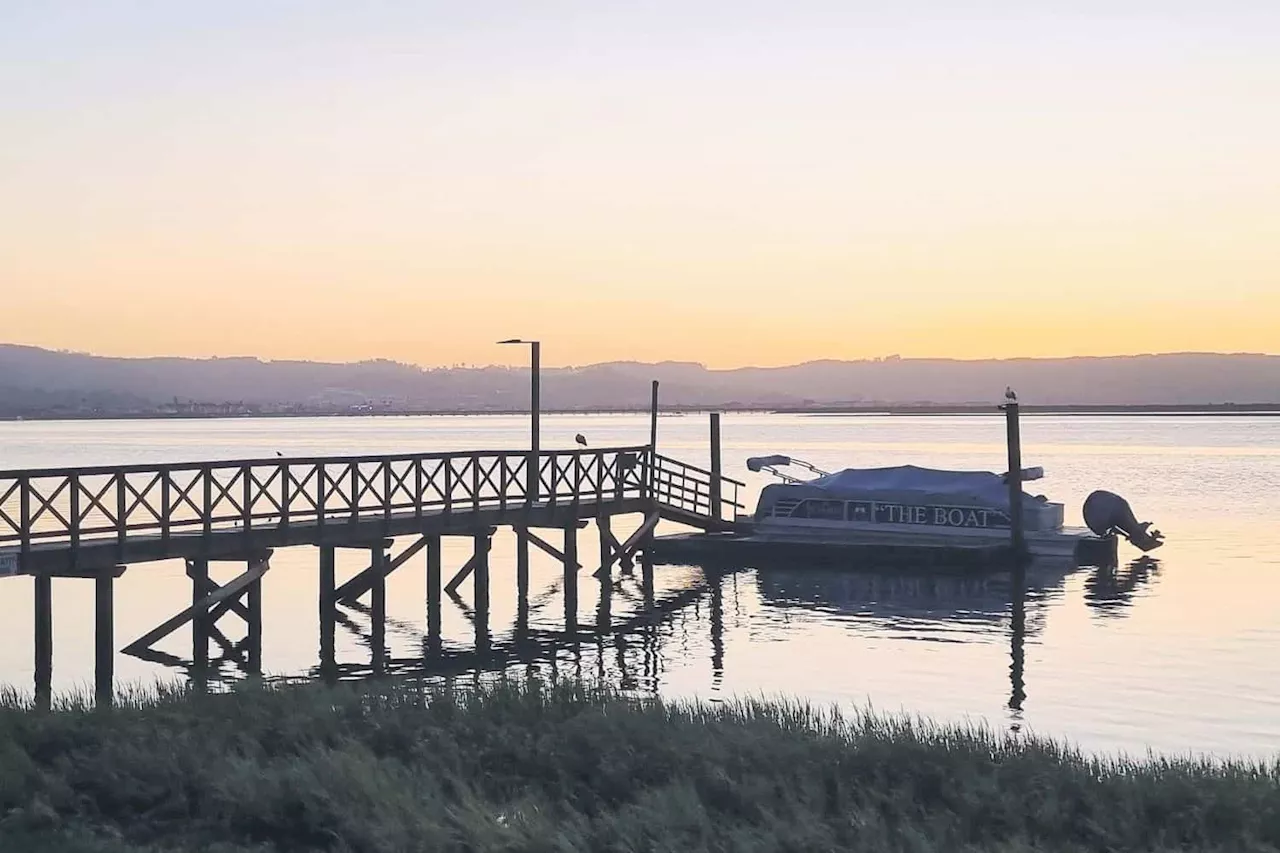 Inter-species love in Knysna: They danced by the light of the moon