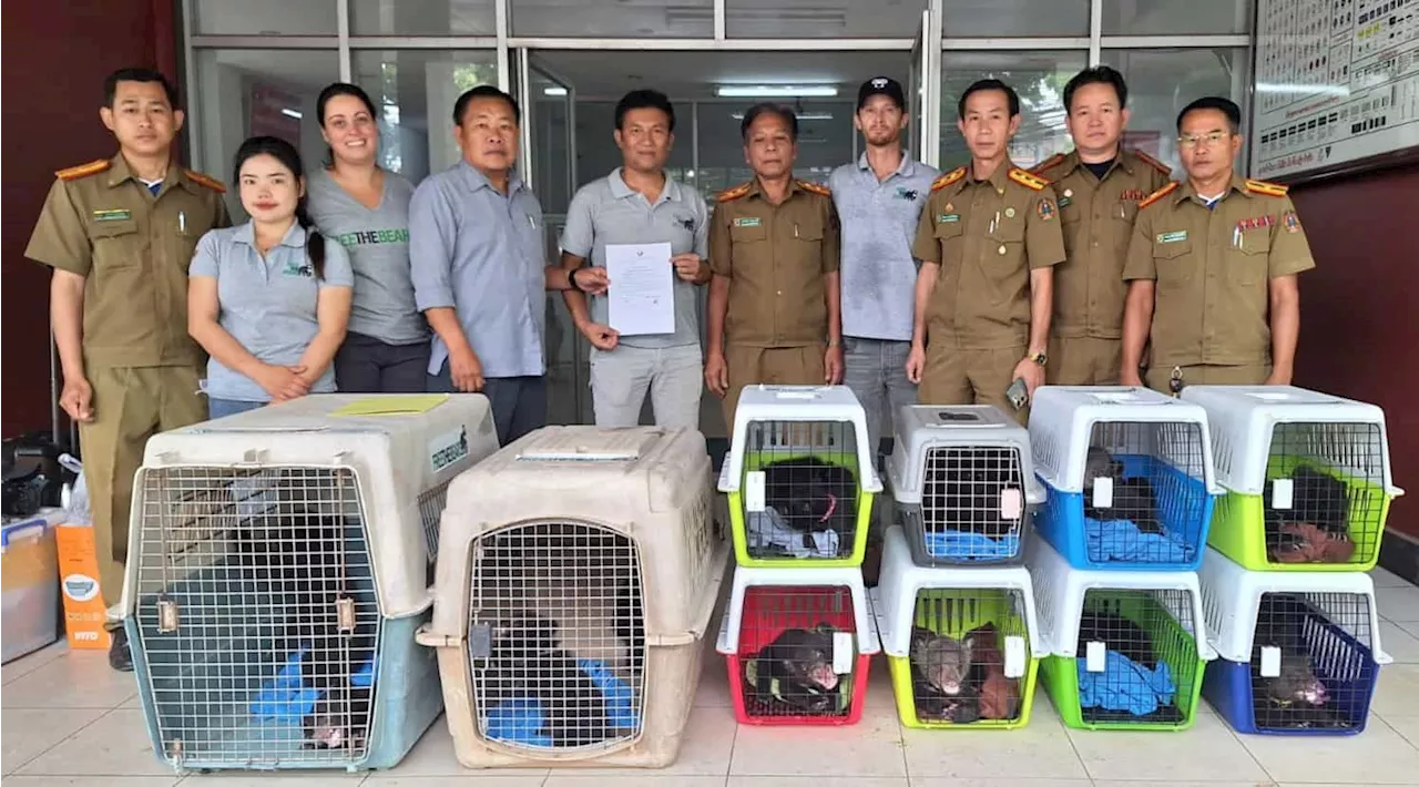 Sixteen bear cubs rescued from home in Laos