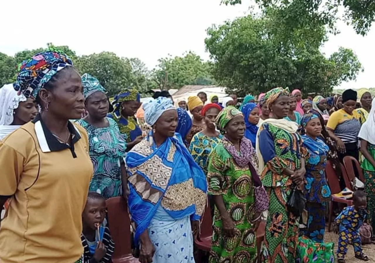 Nigeria for Women Project empowers 75,545 women in Niger