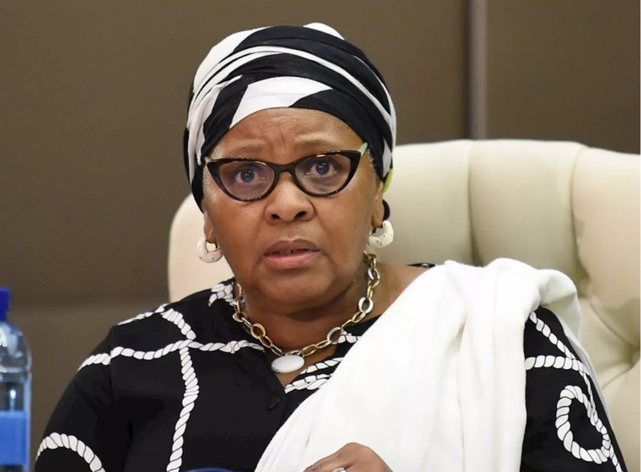 Nosiviwe Mapisa-Nqakula’s designer bags allegedly seized