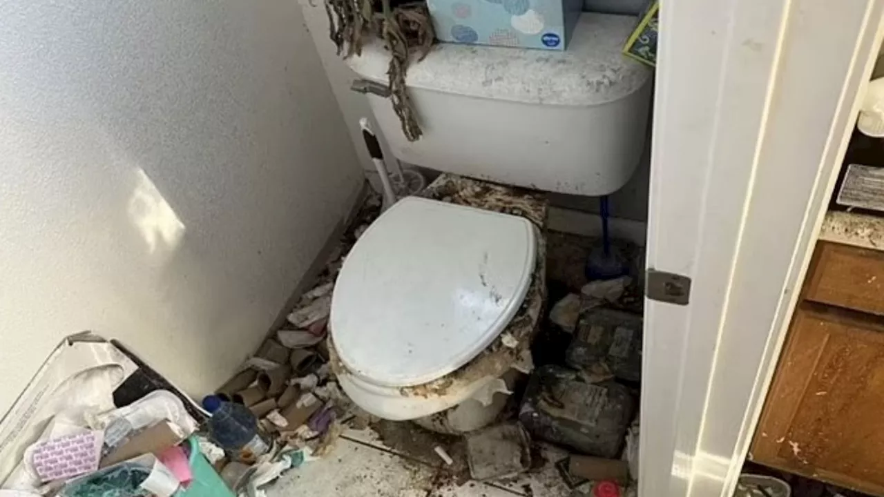 Inside of Hoarder's Home Revealed After Years of Neighbourhood Dispute