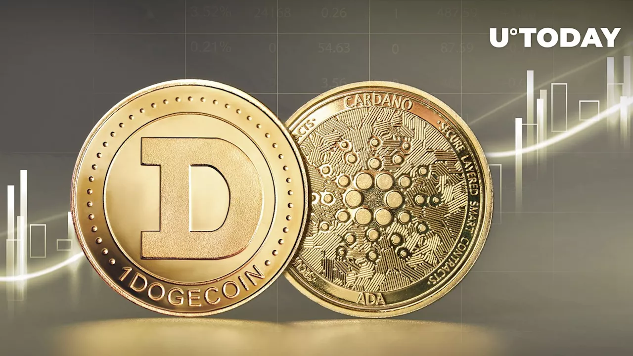 Dogecoin Surpasses Cardano by Market Cap Yet Again