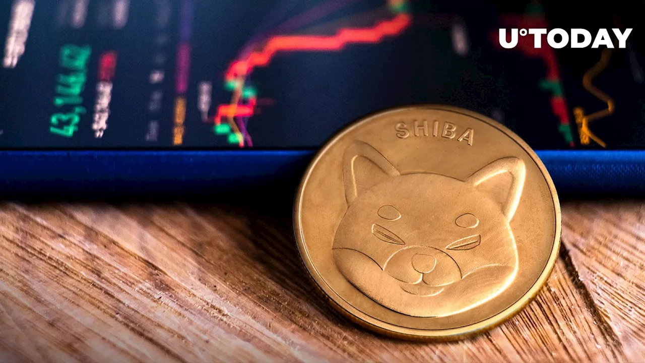 Shiba Inu (SHIB) Braces for Worst Week in 16 Months Against Dogecoin (DOGE)