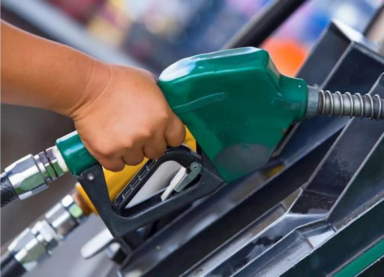 ¿Gasolina más barata en Semana Santa 2024? Aquí todo lo que debes saber