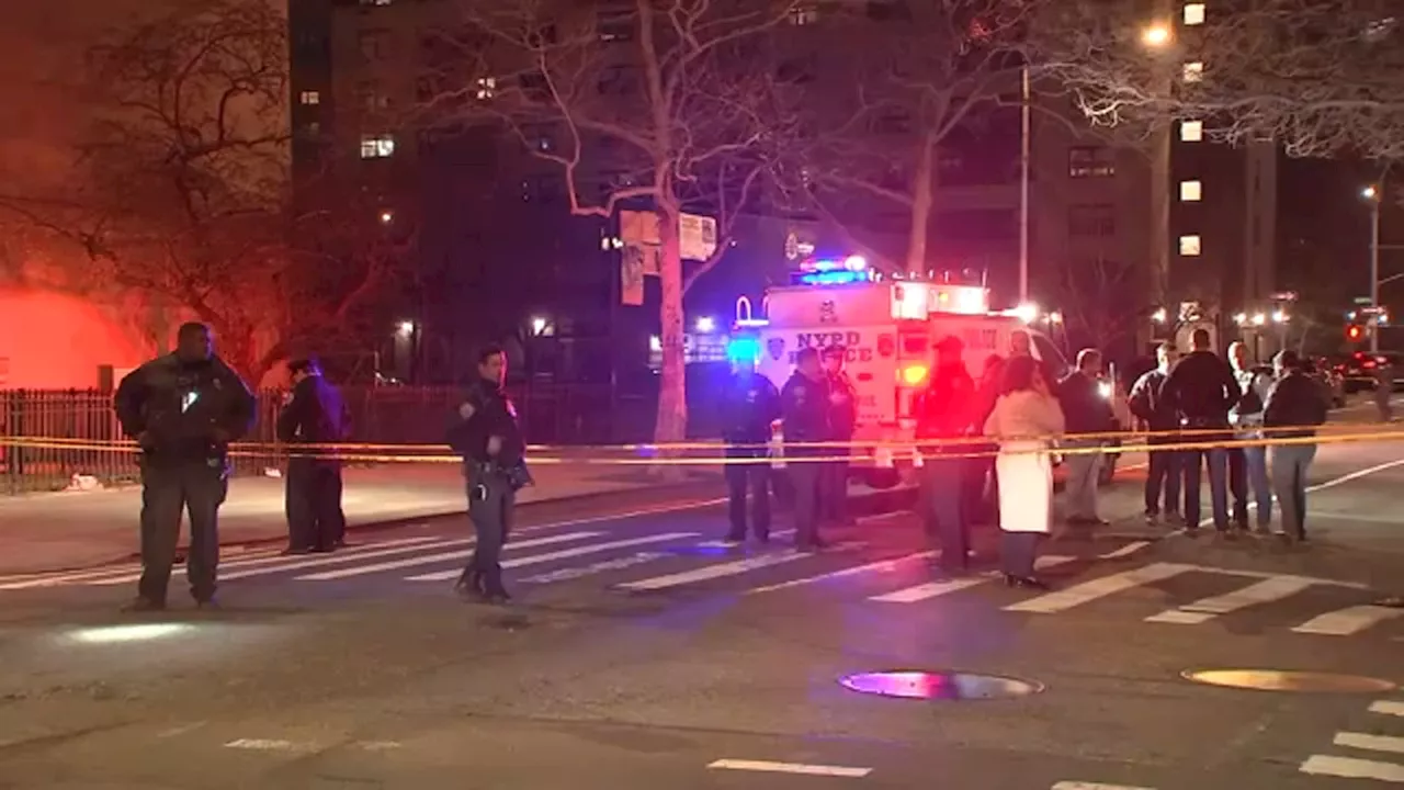 Teen, 25-year-old man killed in East Harlem shooting; gunman at large