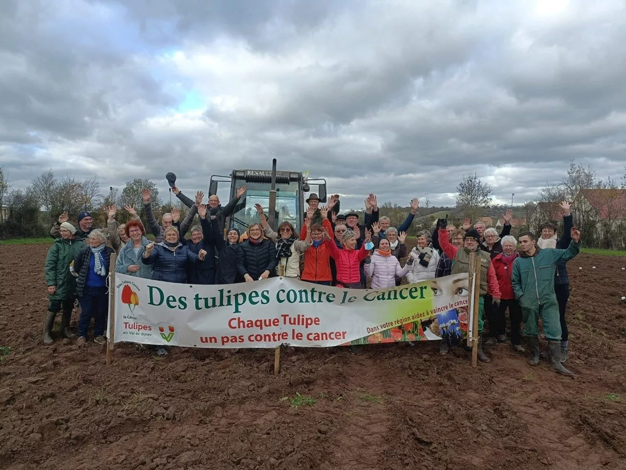 52 000 tulipes plantées pour fleurir la vie des enfants atteints du cancer, près de Caen