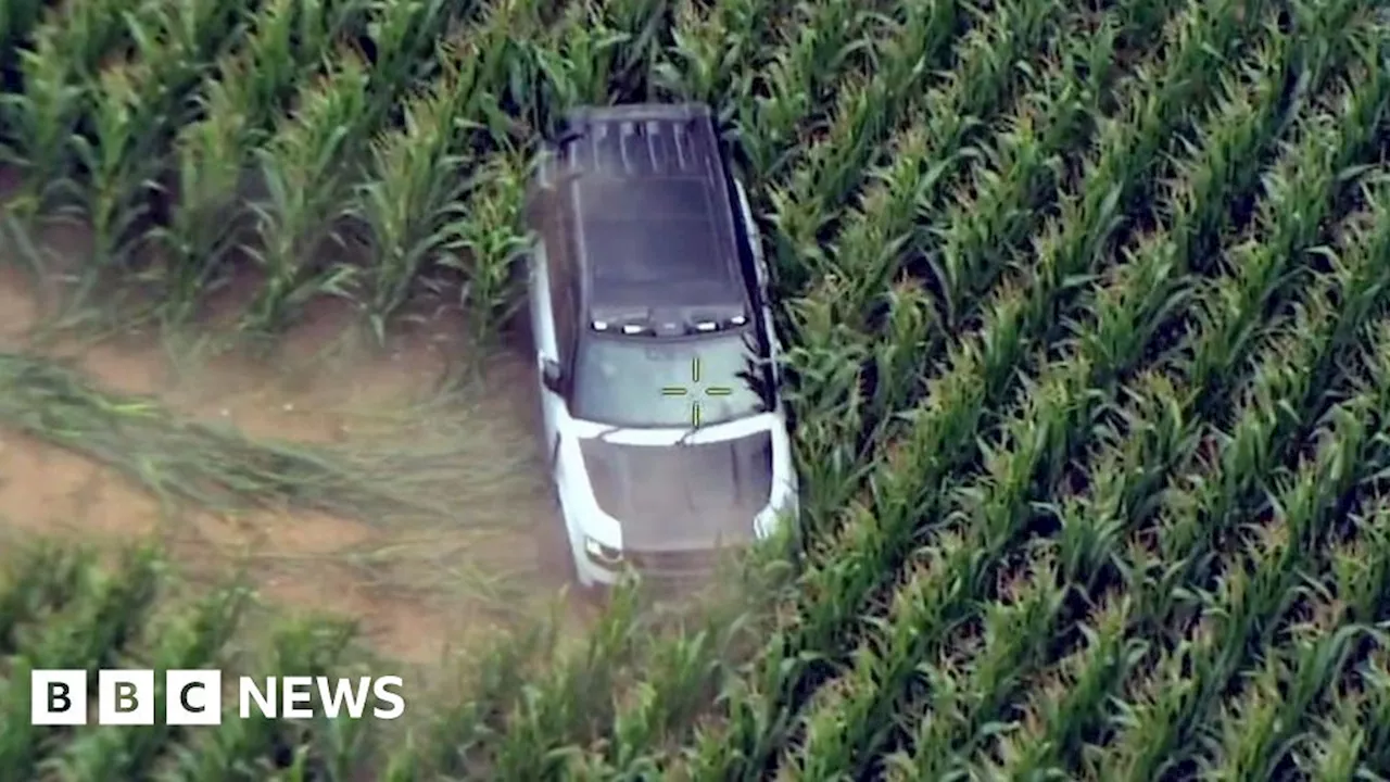 Police chase in Earsham crop field ends in fatal crash