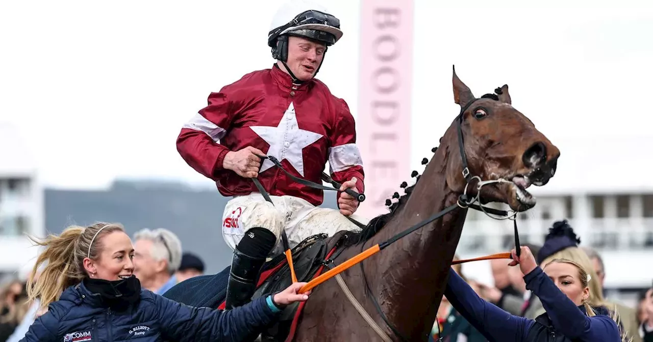 Antrim jockey one of riders assaulted by mob over Cheltenham performances