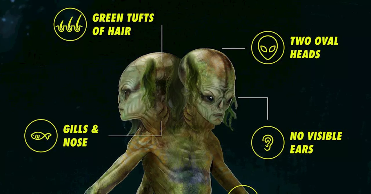 Brits Reveal Their Perception of Alien Appearance