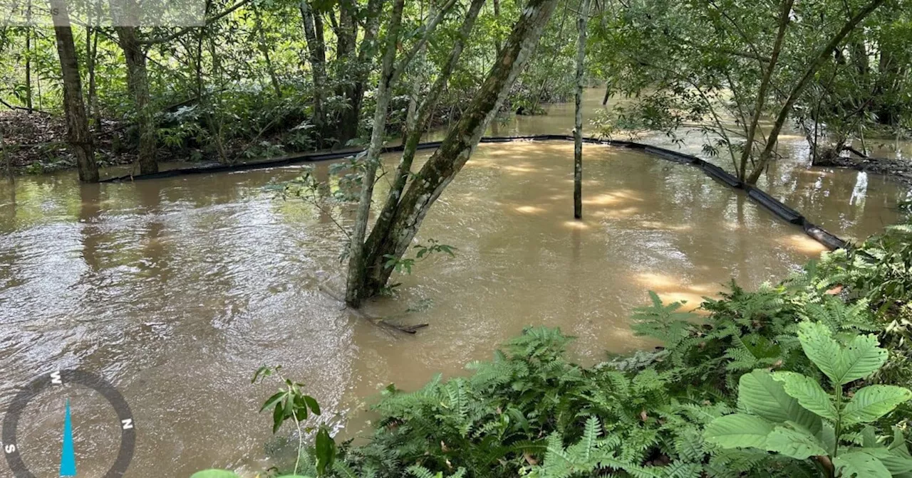 'Zona de emergencia por derrame de crudo está bajo control': Autoridad Ambiental de Santander