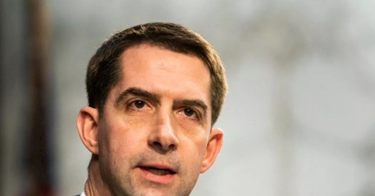 Tom Cotton: ‘Disgraceful’ that Biden’s Electoral Strategy Focuses on DOJ ‘Prosecuting’ Trump