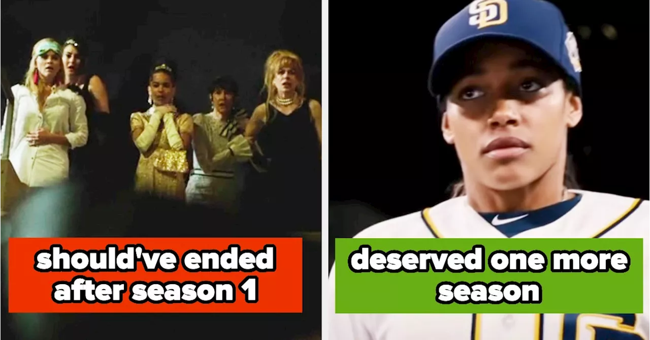 TV Shows That Desrved A Season 2 Vs. Shows That Didn't