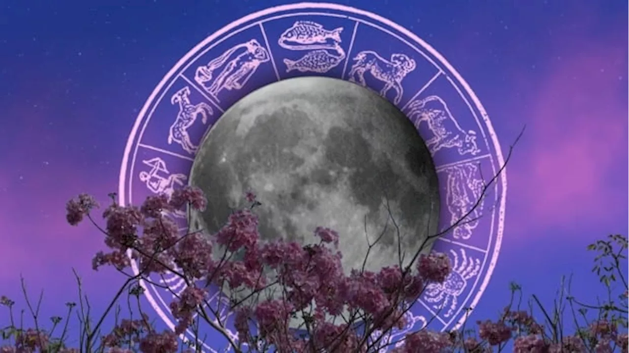 Your horoscope for the week ahead: An enlightening lunar eclipse will help you understand your emotions