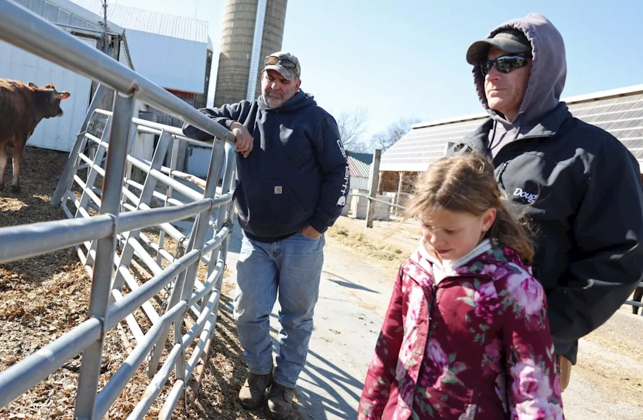 Illinois farmers anxious after ramping up production for food program that was delayed