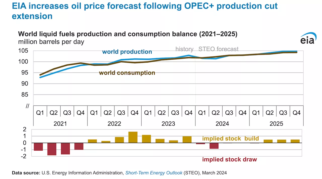 OPEC+ Extends Production Cuts, Leading to Reduced Global Oil Production Forecast