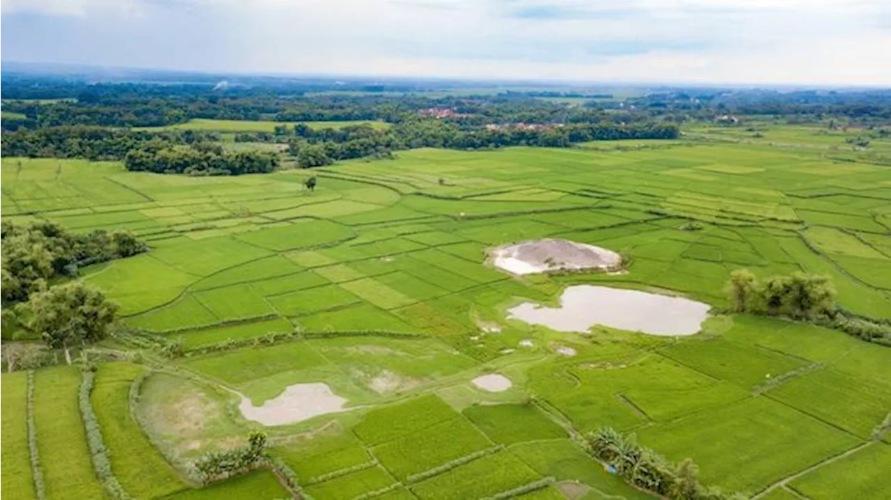 Fenomena 'Gunung Baru' di Grobogan Jateng, Badan Geologi Buka Suara