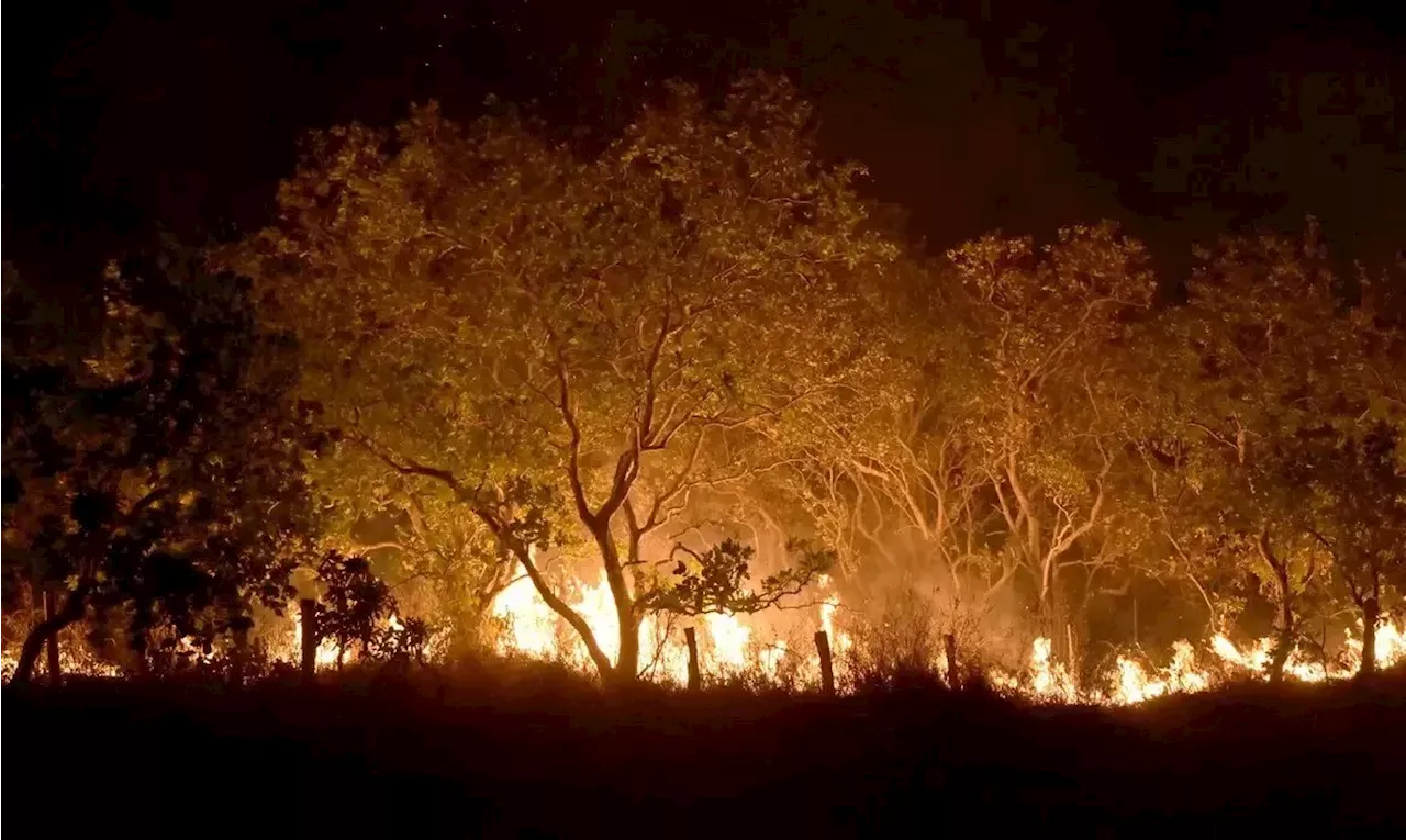 Quase mil hectares foram queimados em fevereiro em todo o Brasil, aponta Ipam