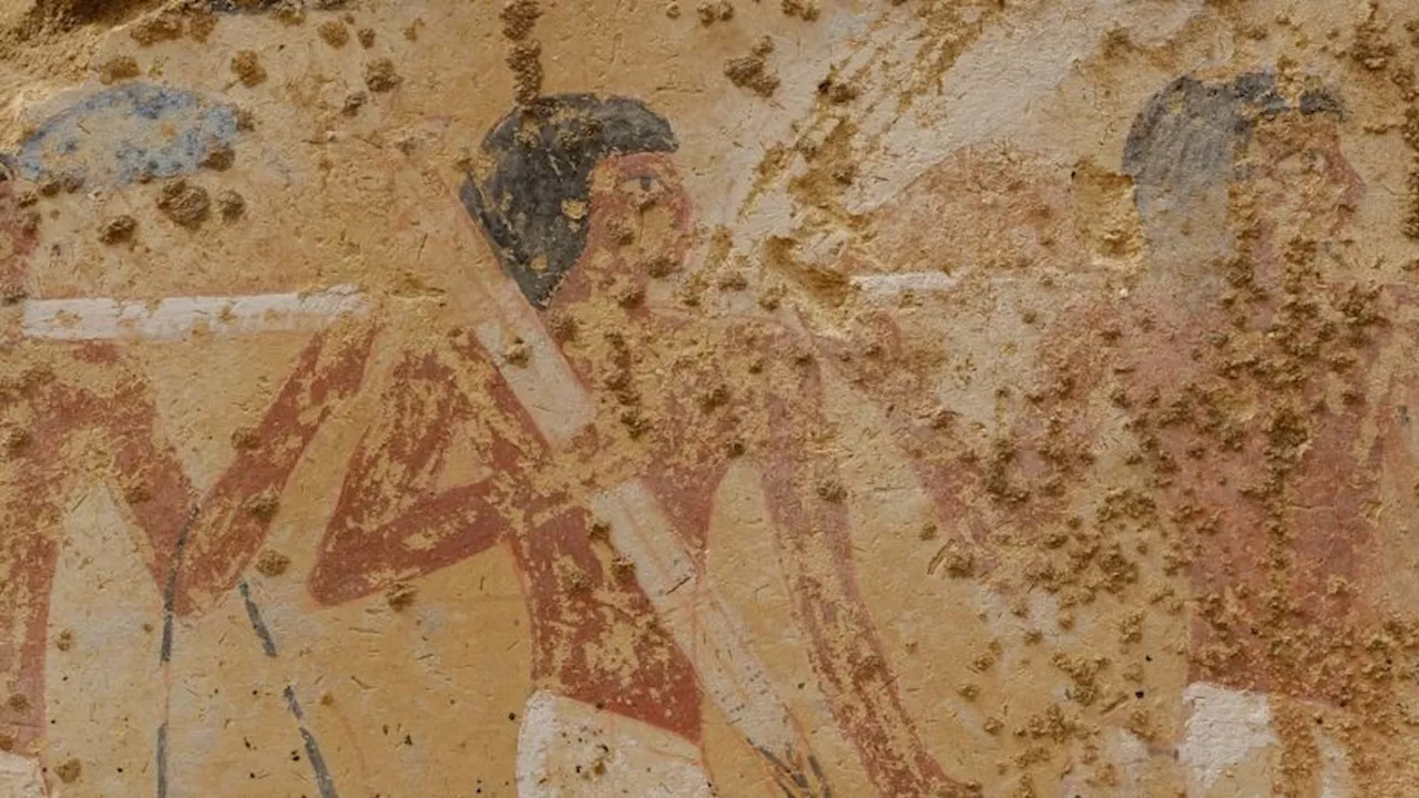 Colorful paintings of daily life uncovered in 4,300-year-old Egyptian tomb