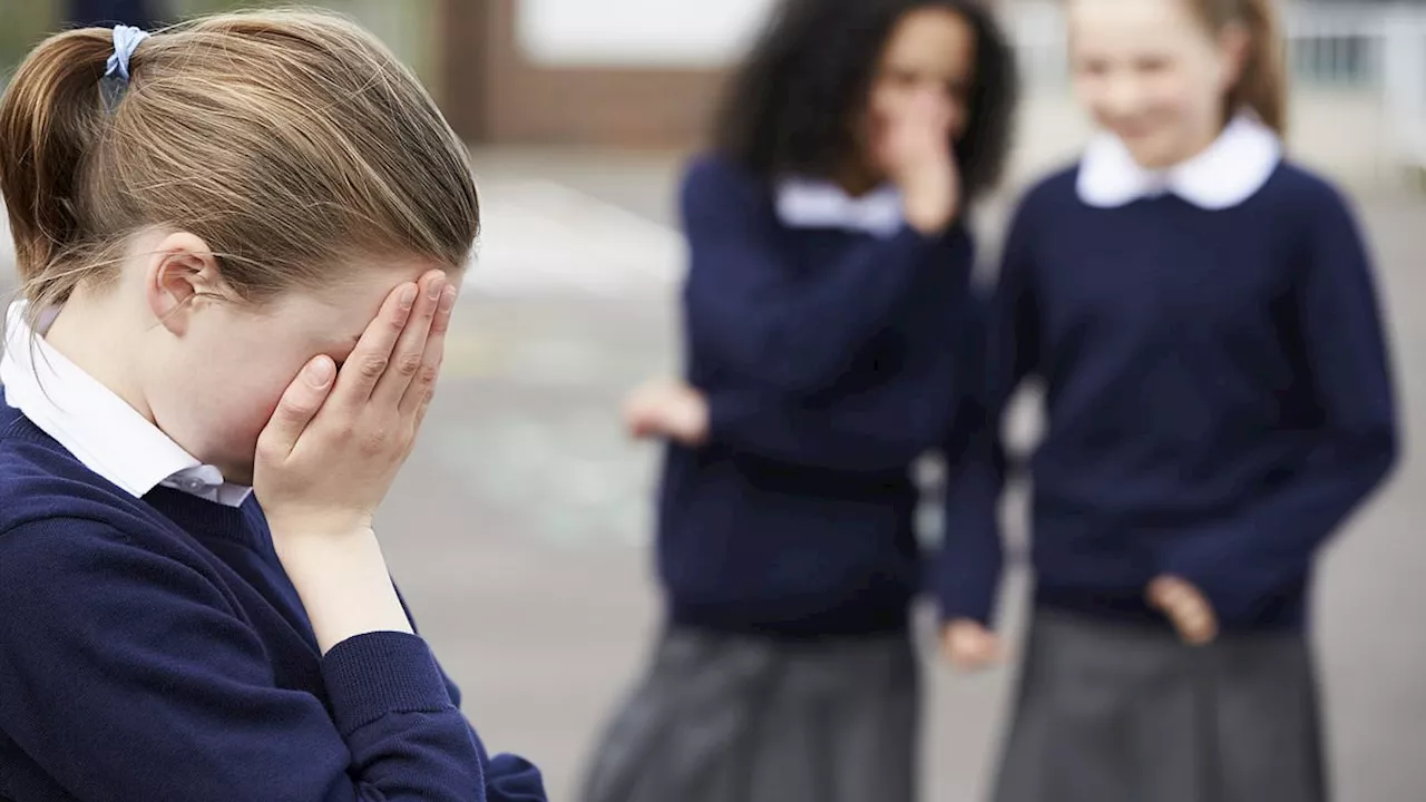 Playground bullies earn more than socially awkward children and enjoy high-flying careers, research...