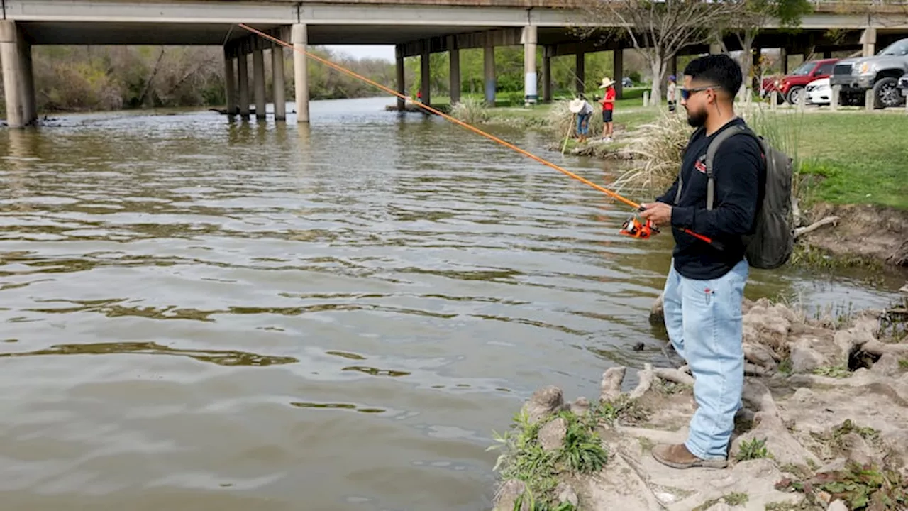 E. coli reported at Dallas' White Rock Lake after Plano sewage spill