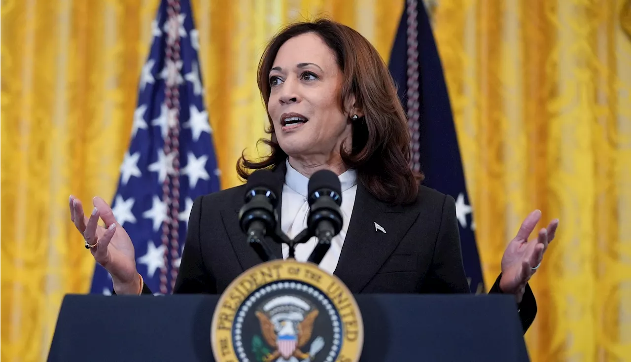 Border czar Harris touts ‘improving’ lives in Central America with Guatemalan president