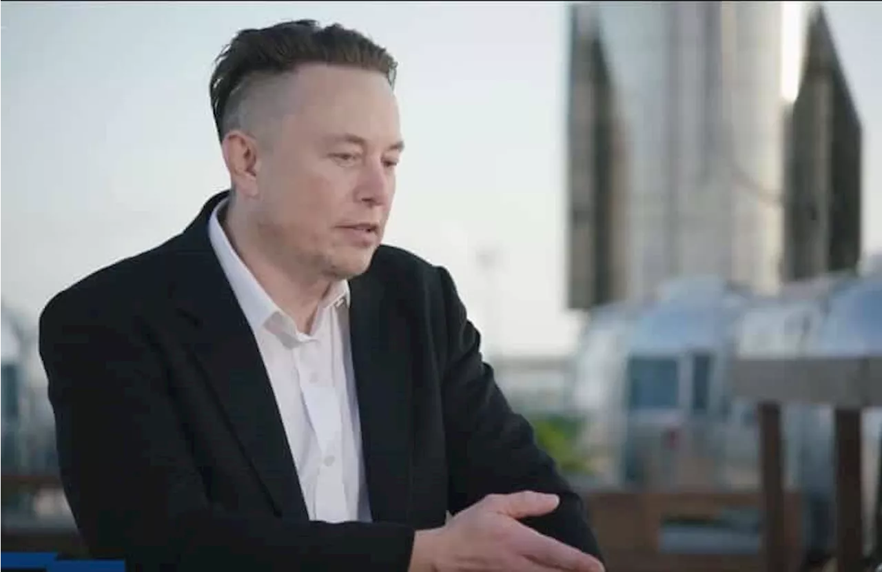 Elon Musk wütet -'GFY' Meme-Coins steigen