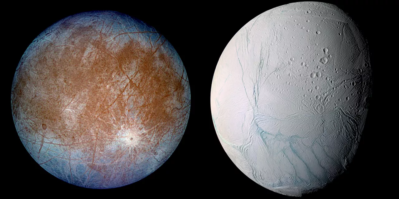 NASA's Europa Clipper Will Probe for Life in The Plumes of Icy Moons