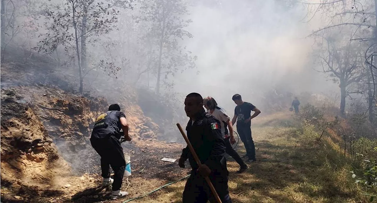 Incendios forestales mantienen en alerta a vecinos y autoridades en Hidalgo