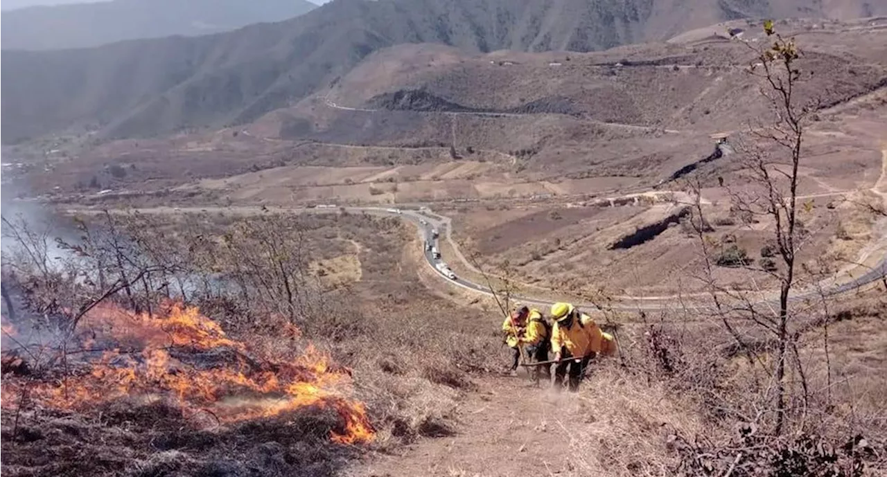 Reportan incendio forestal en zona montañosa de Veracruz