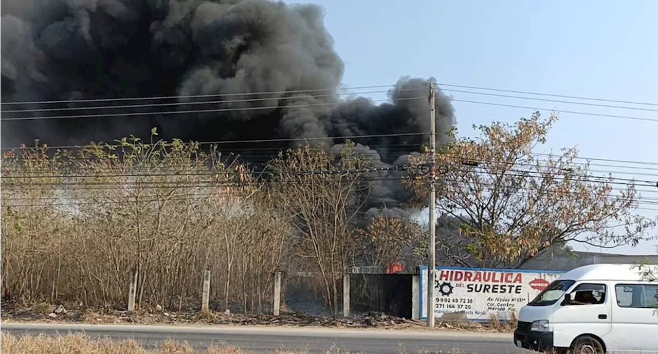 Suman 245 incendios por altas temperaturas en Yucatán