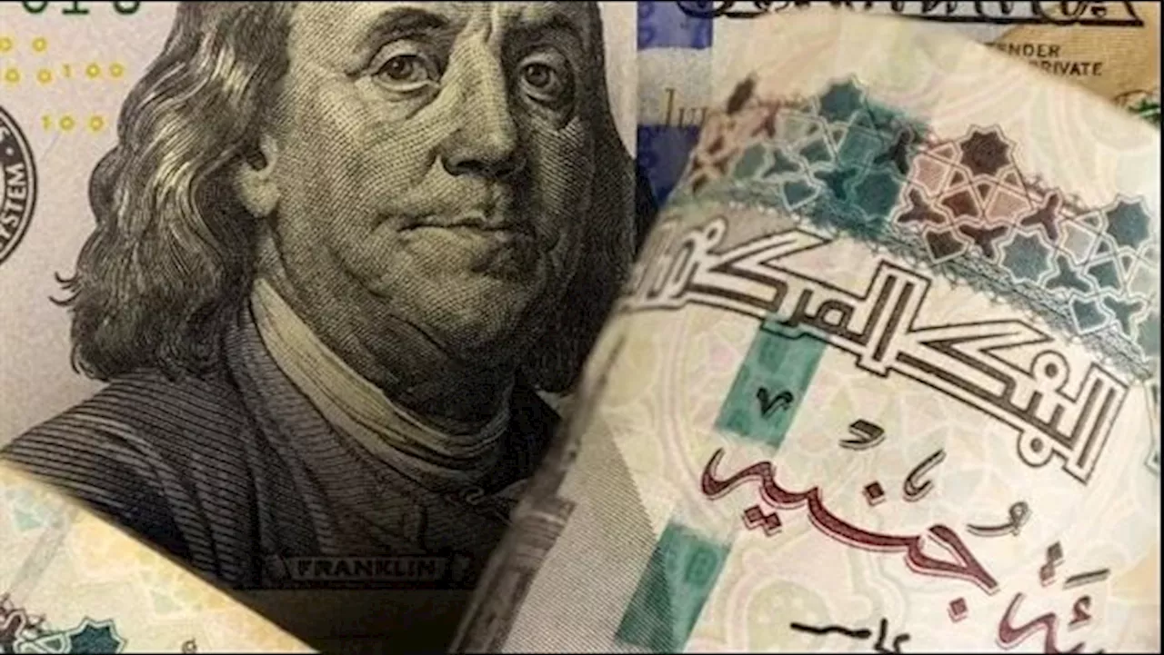 سعر الدولار اليوم مقابل الجنيه المصري بداية تعاملات الإثنين