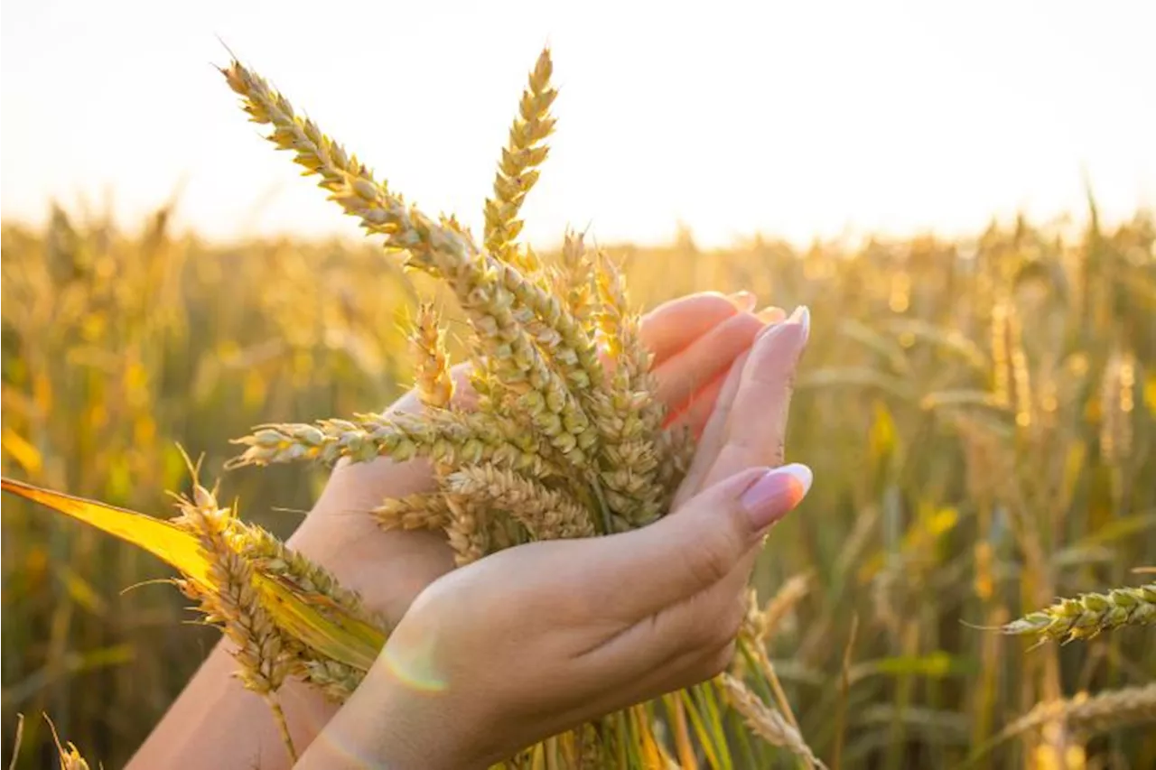 Reforma Agraria: ¿Y de esto qué?