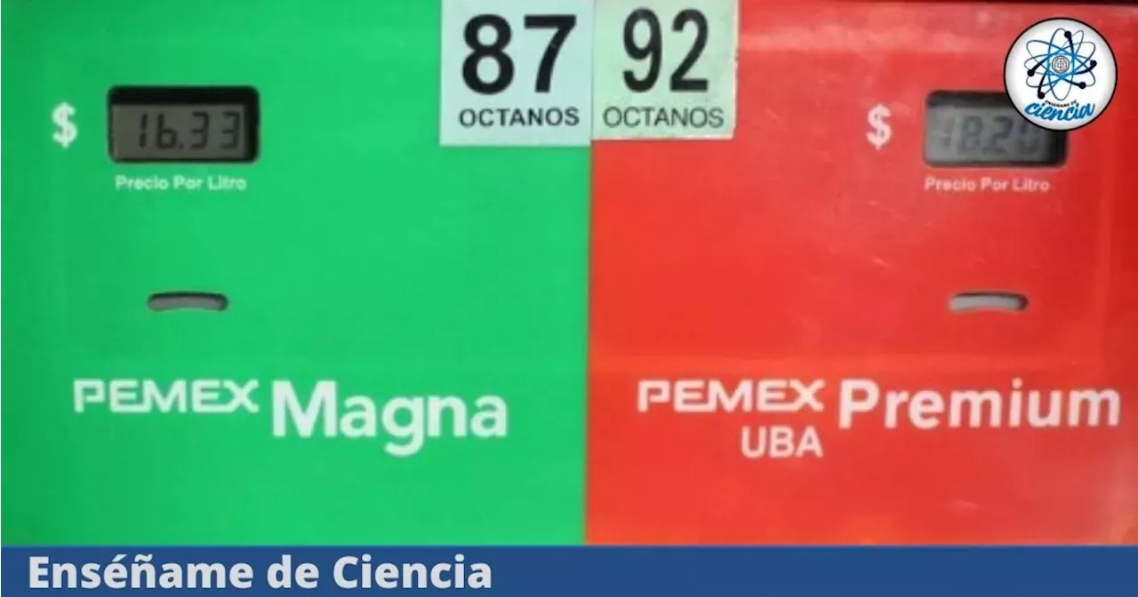 ¿Qué Son Los Octanos En La Gasolina Y Cuántos Debes Ponerle A Tu ...