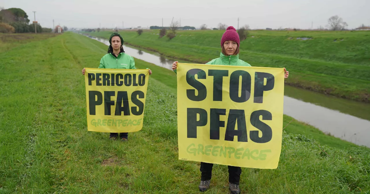 I Pfas e il disastro ambientale in Veneto: la pericolosità dei composti chimici inquinanti