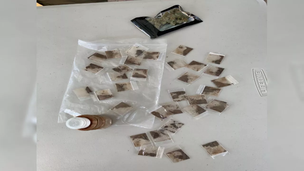 Fentanyl, other drugs found during Guadalupe bust: MCSO