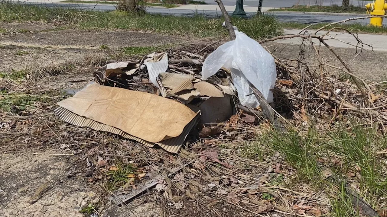 Harrisburg, Dauphin County officials look to crack down on illegal dumping of trash