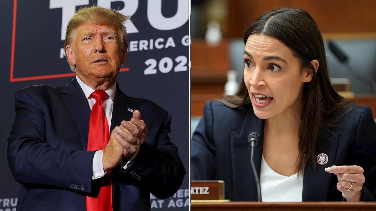 AOC mocked for warning about 'risk' of not seizing Trump's assets: 'Just plain ignorant'