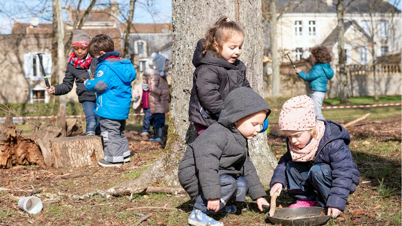 Comment l'enseignement du changement climatique fait petit à petit son nid à l'école